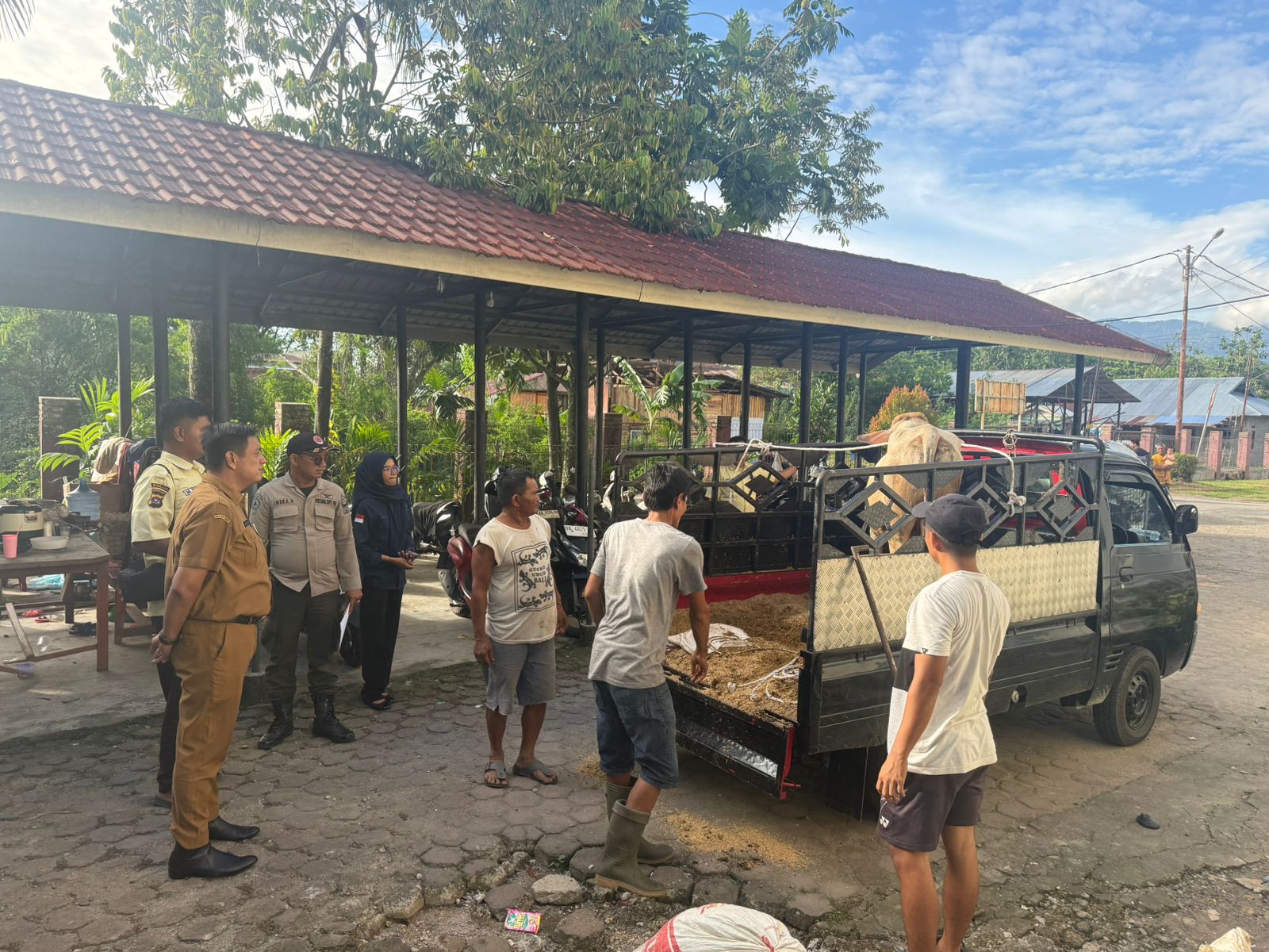 Warga Huntara Lubuk Buaya sambut sapi Qurban penuh suka cita