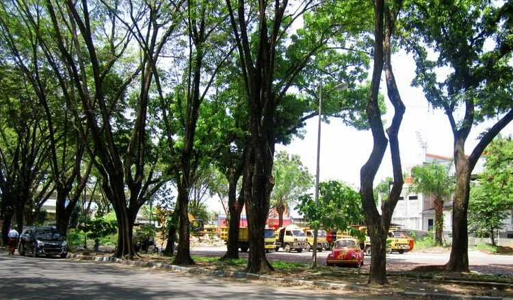 Kawasan GOR Agus Salim Padang Dikosongkan Juni 2026, Pedagang Direlokasi ke Kavling D