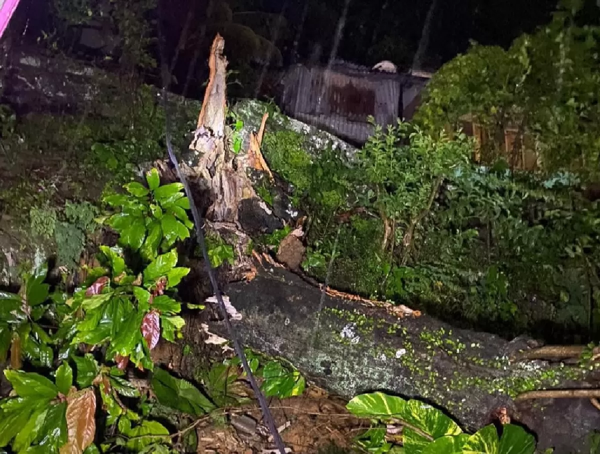 Cuaca Ekstrem di Sumbar, BPBD Padang Imbau Nelayan Tunda Aktivitas Melaut